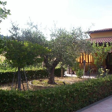 ベルティノーロ Agriturismo 7 Colonneヴィラ エクステリア 写真