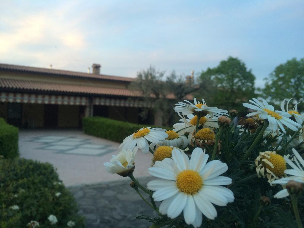 ベルティノーロ Agriturismo 7 Colonneヴィラ エクステリア 写真